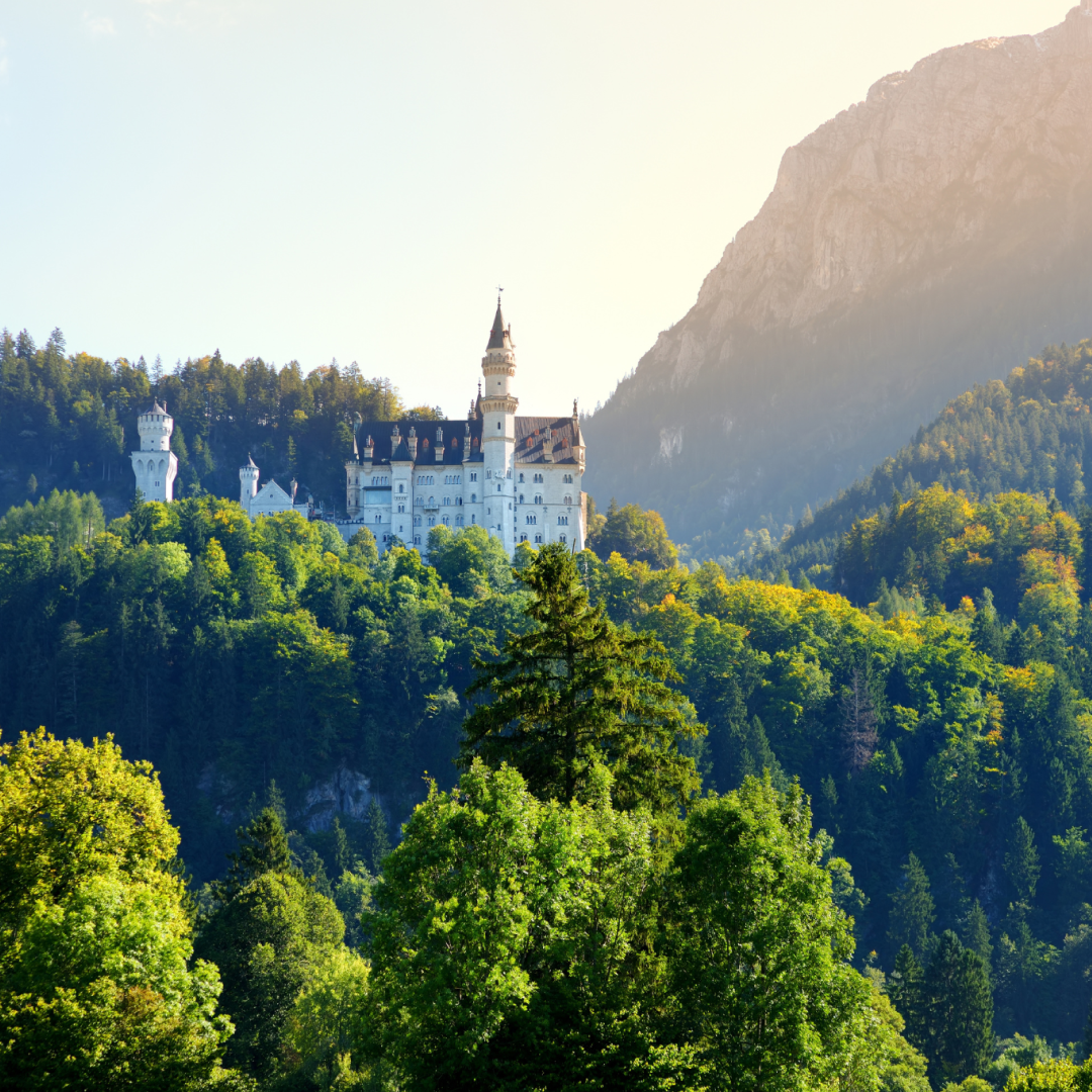 How To Get English To German AI Translation On Google Meet For Free How to get english to german ai translation on google meet for free